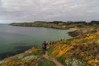 Séjour Belle Ile3